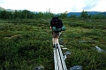 Kungsleden Abisko-Kebne (3)